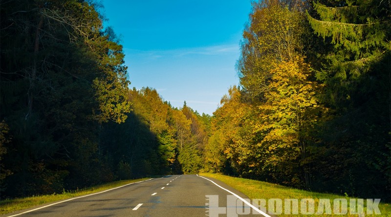 Дорога, Октябрь 2024. Фото Елены Емельяновой