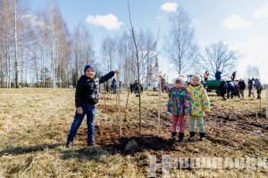 Аллея «Яблони Победы» украсила Новополоцк. ФОТОРЕПОРТАЖ
